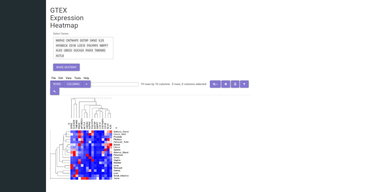 GTEx Expression Heatmap