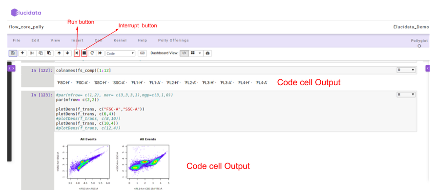 Running a code cell
